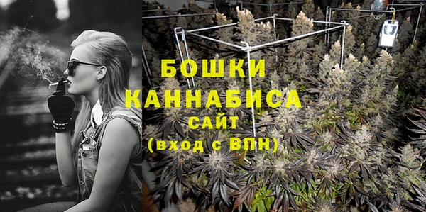 ПСИЛОЦИБИНОВЫЕ ГРИБЫ Баксан