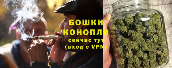 ПСИЛОЦИБИНОВЫЕ ГРИБЫ Баксан