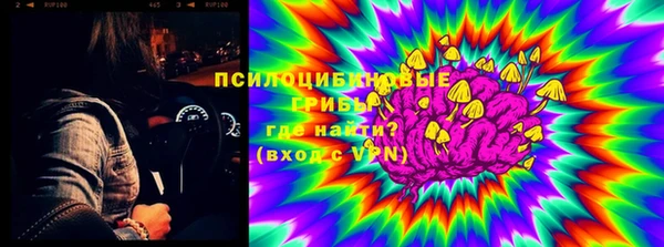 ПСИЛОЦИБИНОВЫЕ ГРИБЫ Баксан