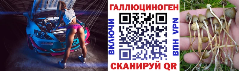 Галлюциногенные грибы Magic Shrooms  omg tor  Новотроицк  купить  