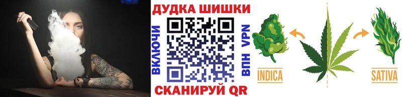 купить наркоту  Новотроицк  Шишки марихуана планчик 